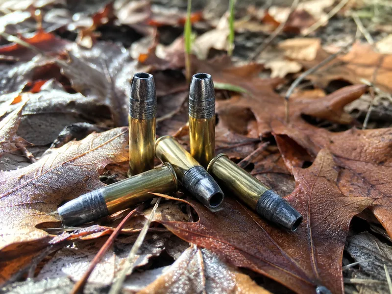 Small Game & Hunting rimfire ammunition